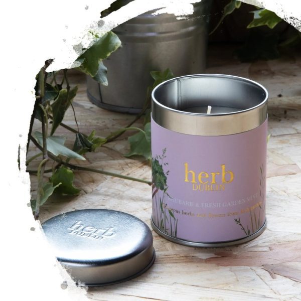 Herb Dublin - Rhubarb & Fresh Garden Mint Tin Candle